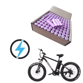 Bicicleta eléctrica MTB fatbike Velobecane Fatbike