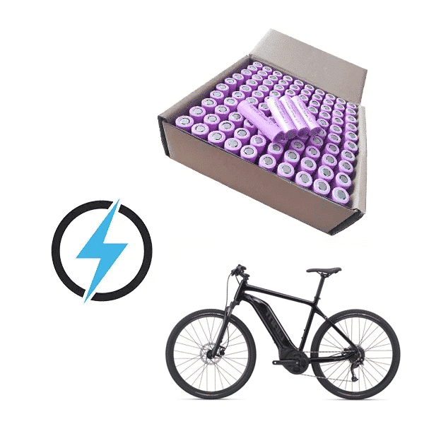 Giant Roam E+