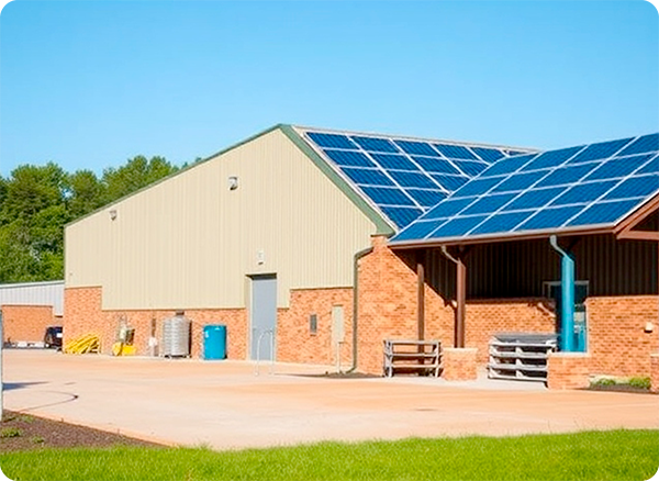 56